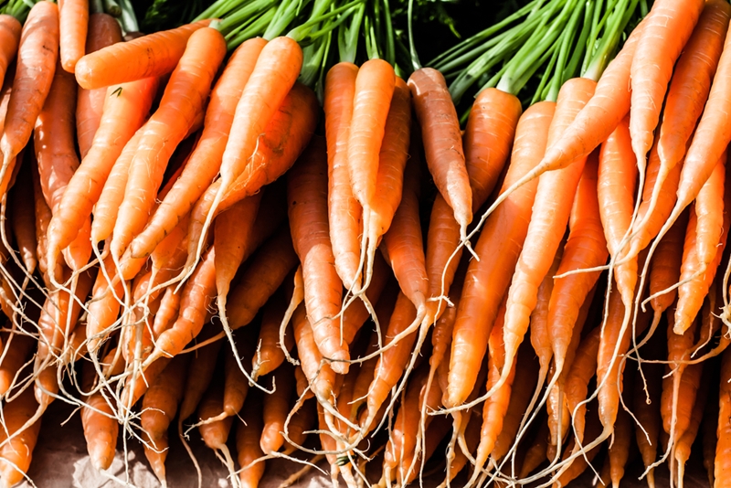 Row of carrots.
