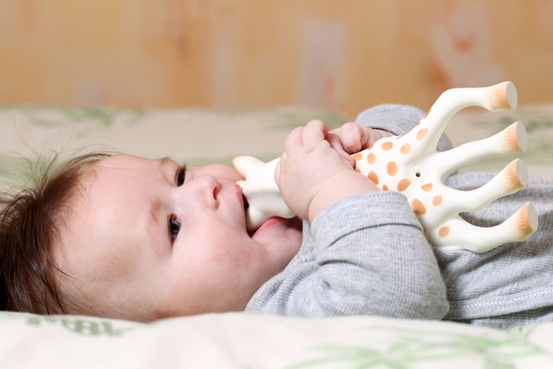 Babies may chew on toys to alleviate teething pain.
