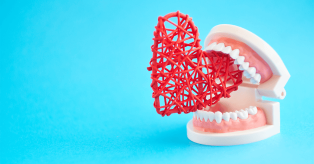 Gum-heart connection