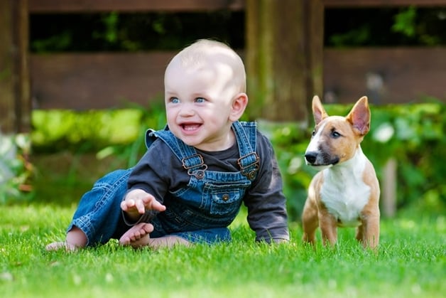 Learn-what-happens-when-babies-grow-their-first-teeth.jpg